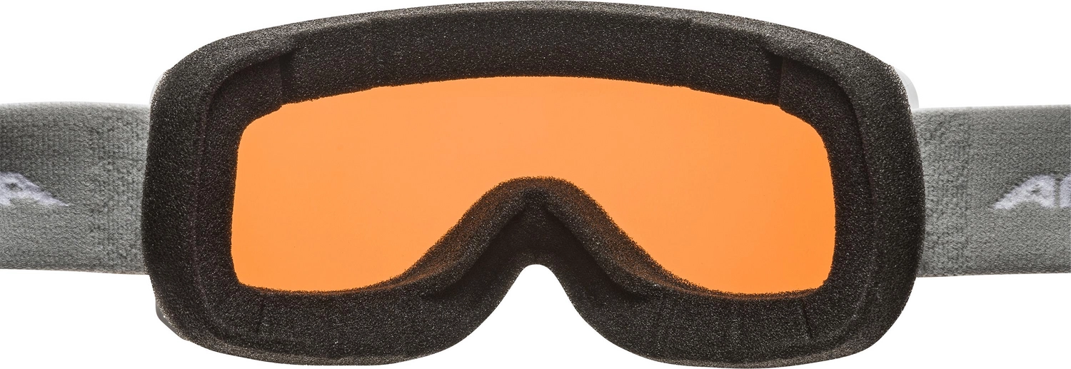 Skibril Alpina Scarabeo S White QH Rubyred 5 Skibril Alpina Scarabeo S White QH Rubyred - Afbeelding 3